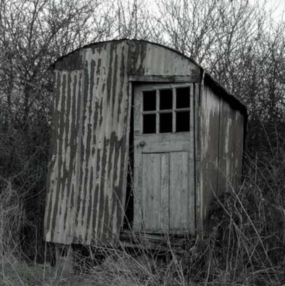 Timeshare! Rustic Tiny House